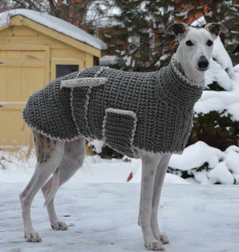 greyhound dog sweaters