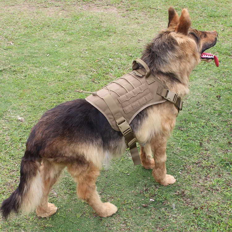 Harness For German Shepherd Puppy