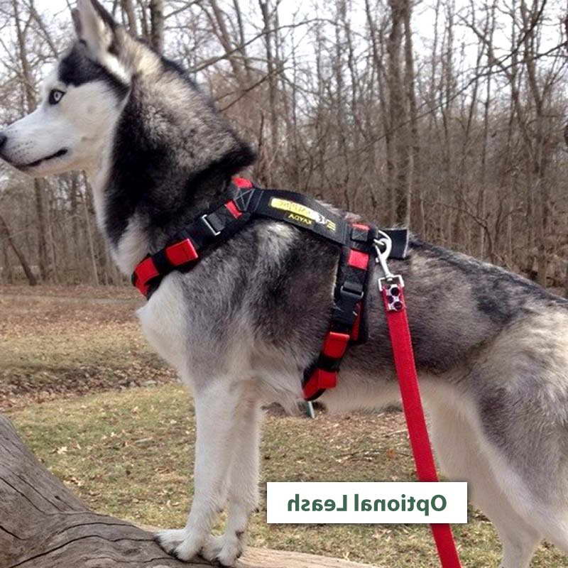 Harness For Husky