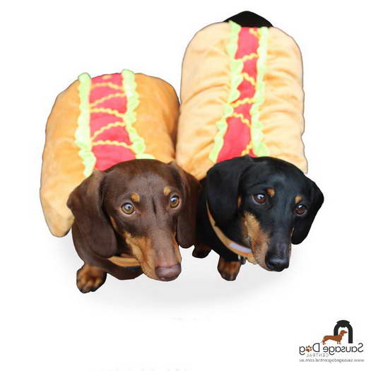 Hot Dog Dachshund