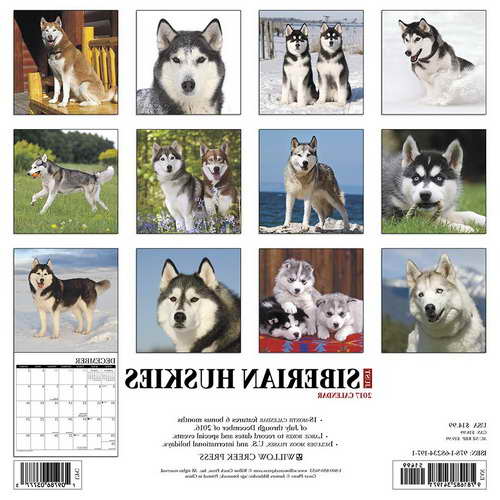 Husky Calendar