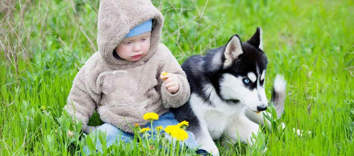 Husky Children