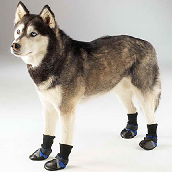 Husky Dog Boots