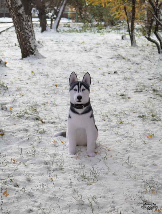 Husky Dog Toy