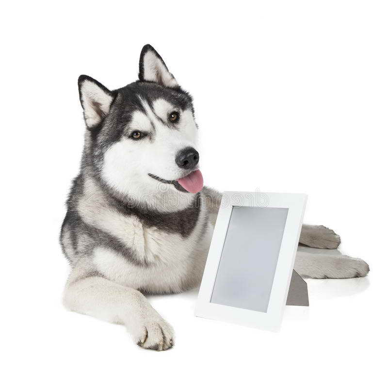 Husky Frame