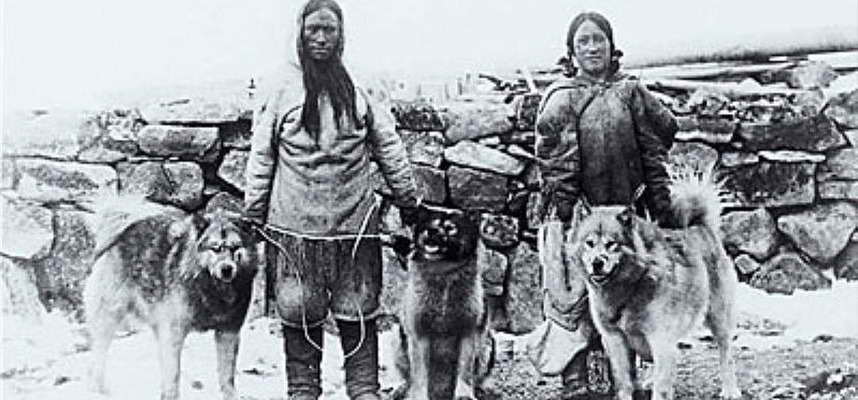 Husky History