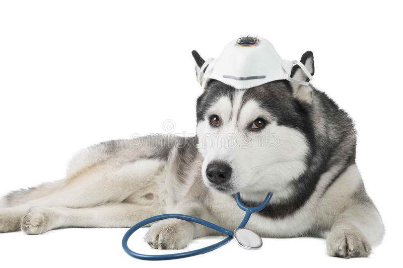 Husky Medical