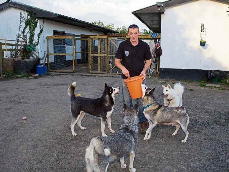 Husky Rescue Center