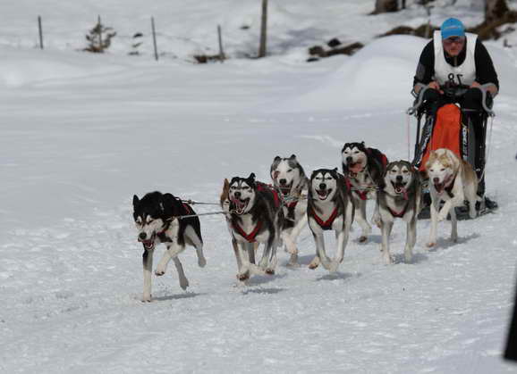 Husky Sports