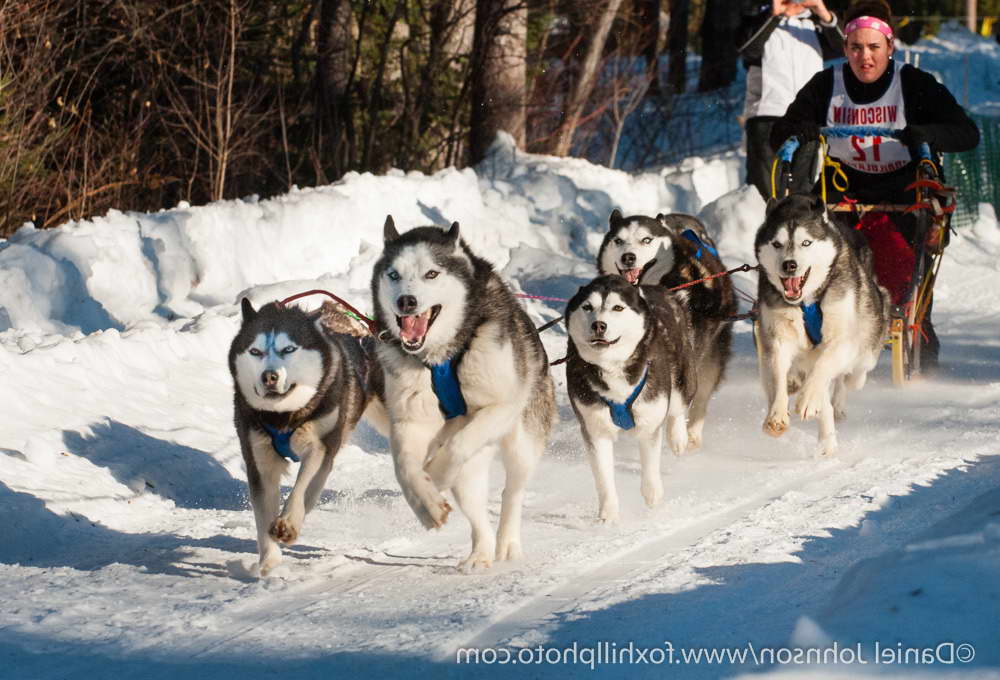 Husky Transportation