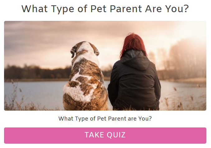 What Type of Pet Parent are you