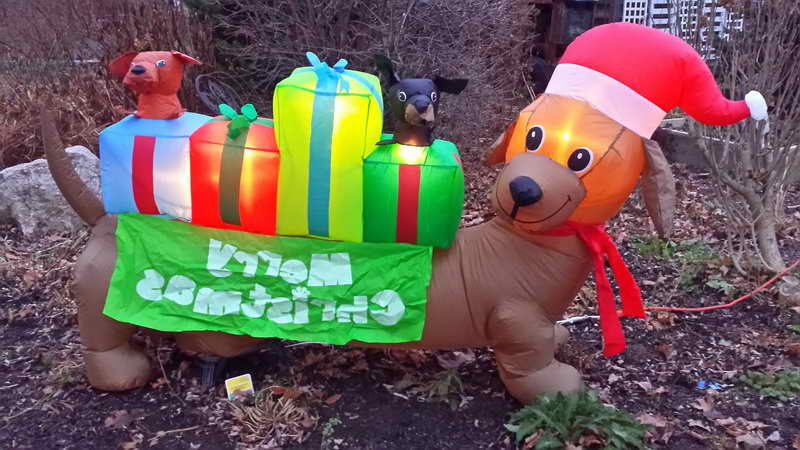 Inflatable Christmas Dachshund