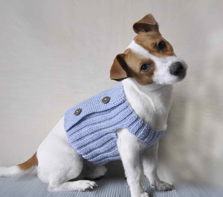 Jack Russell Dog Clothing