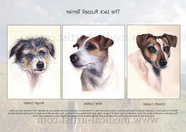 Jack Russell Posters