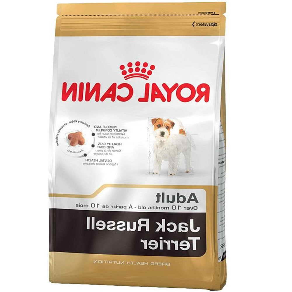 Jack Russell Terrier Food