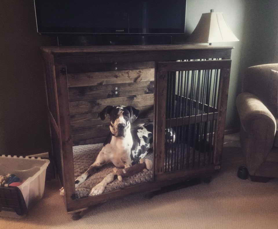 Kennel For A Great Dane
