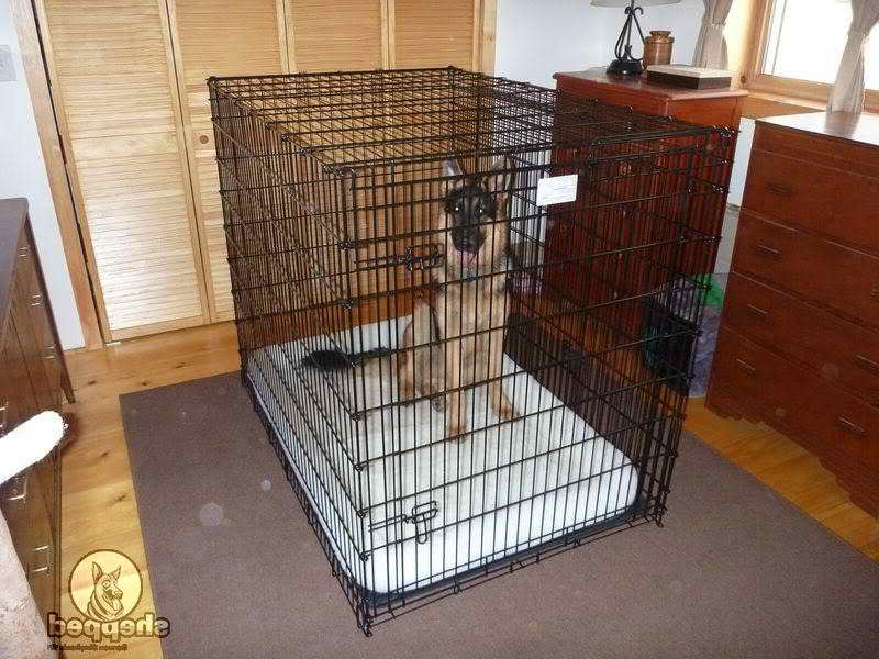 Kennel For German Shepherd