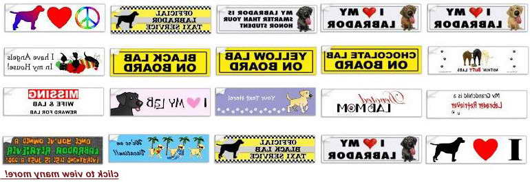 Labrador Bumper Stickers