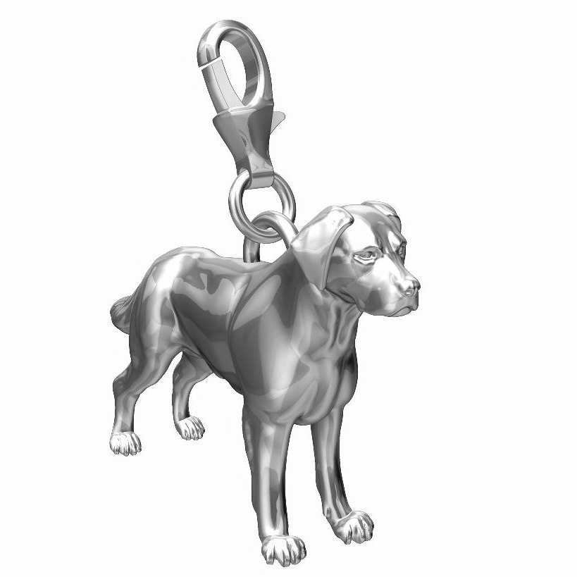 Labrador Charms