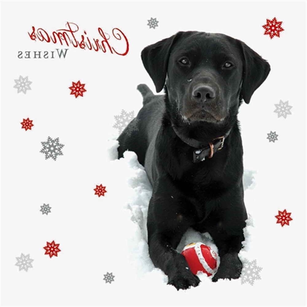 Labrador Christmas Cards