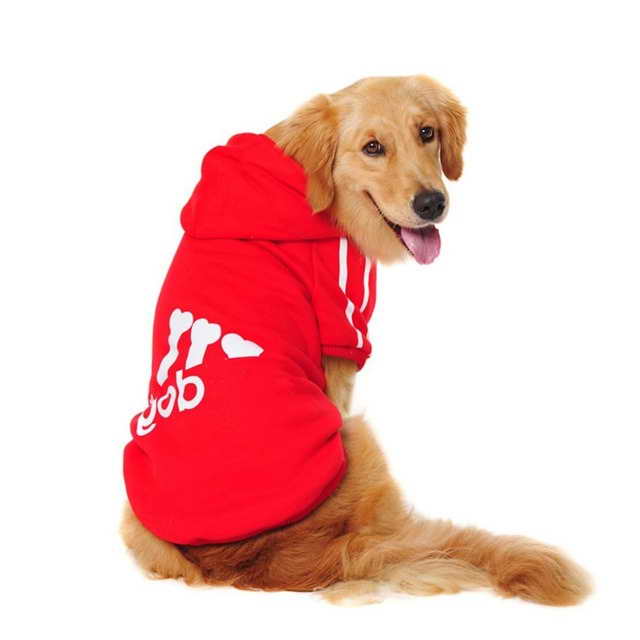 Labrador Clothing