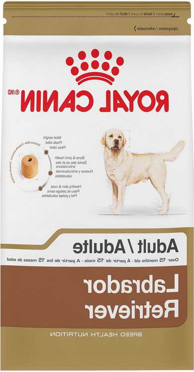 Labrador Dog Food