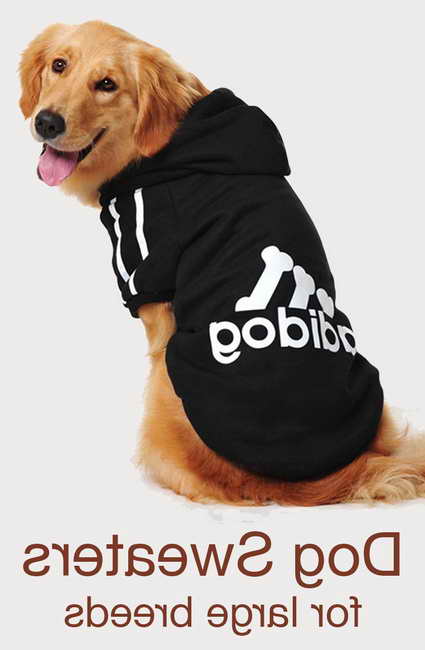 Labrador Dog Sweater