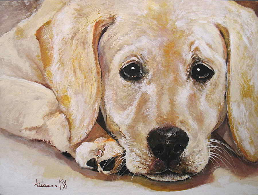 Labrador Painting