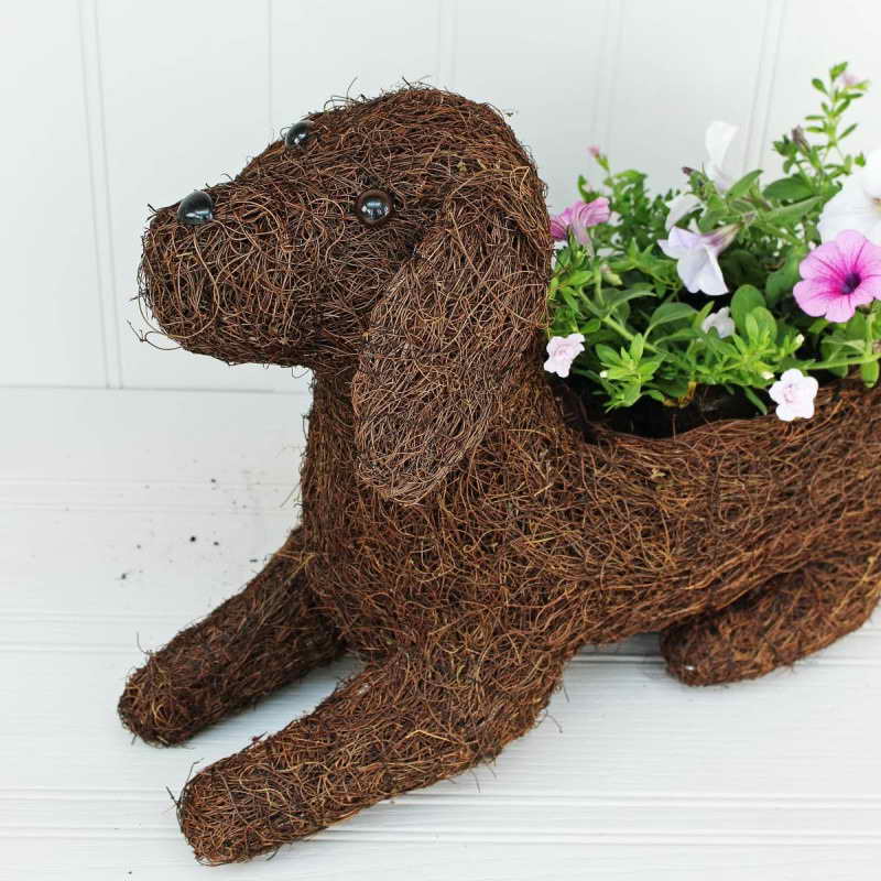 Labrador Planter