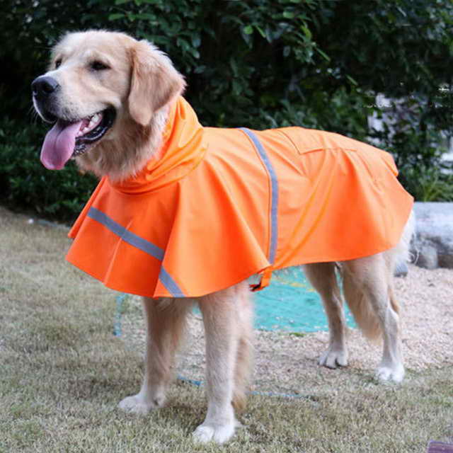Labrador Raincoat