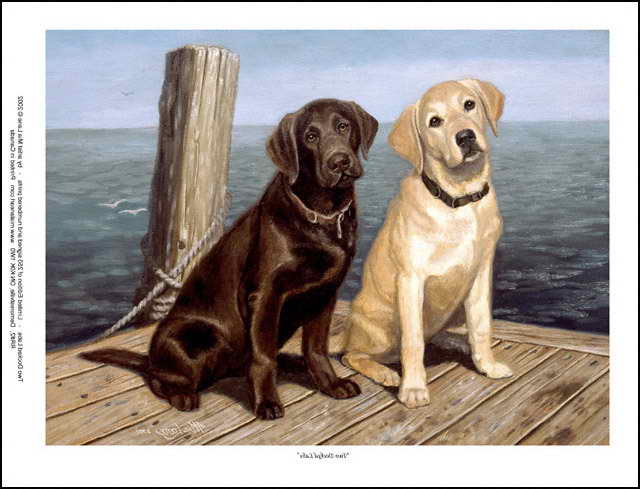 Labrador Retriever Art Prints
