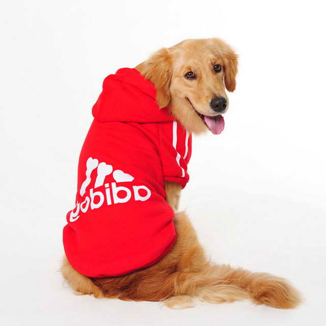 Labrador Retriever Clothing