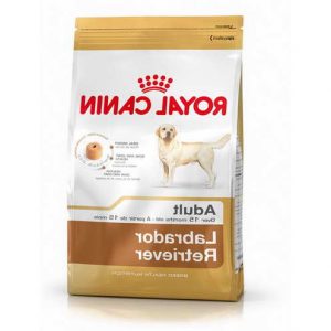 Labrador Retriever Food