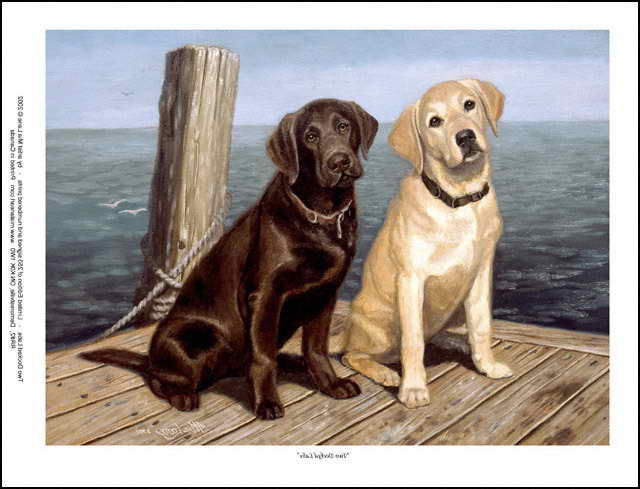 Labrador Retriever Print