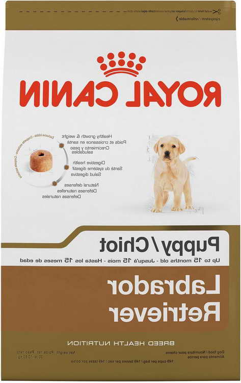 Labrador Retriever Puppy Food