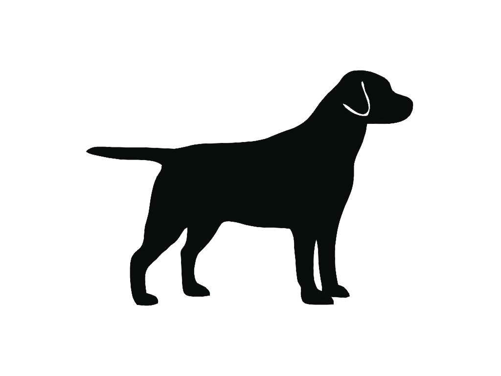 Labrador Retriever Sticker