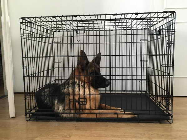 Large Dog Crate For German Shepherd