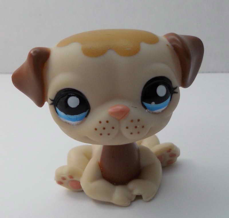 Littlest Pet Shop Pug