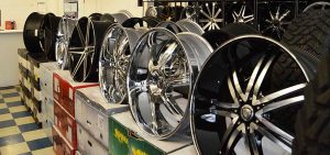 Llantera Chihuahua Denver Colorado