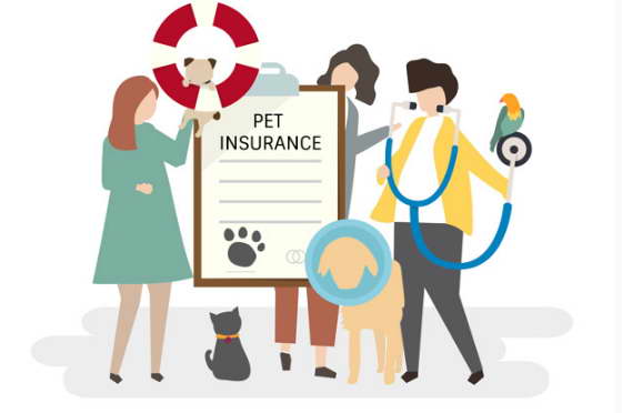best for pet insurance
