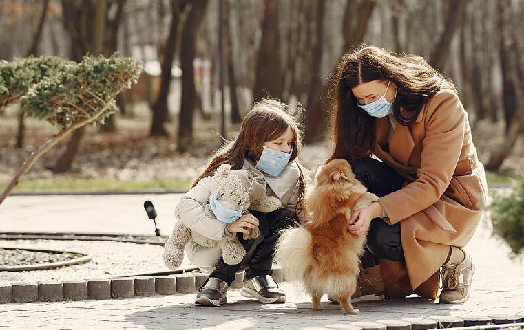 pet insurance how much