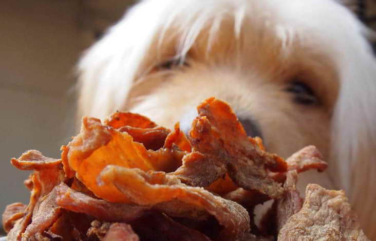 recipes for raw dog food