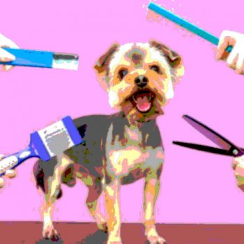 How Much Does A Dog Grooming Cost