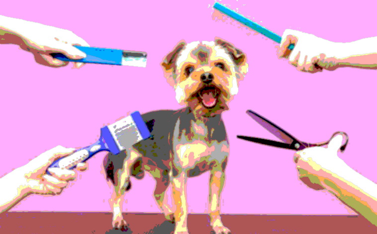 How Much Does A Dog Grooming Cost
