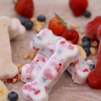 Frozen Dog Treats Recipes