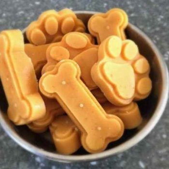 Homemade Dog Treats With Pumpkin