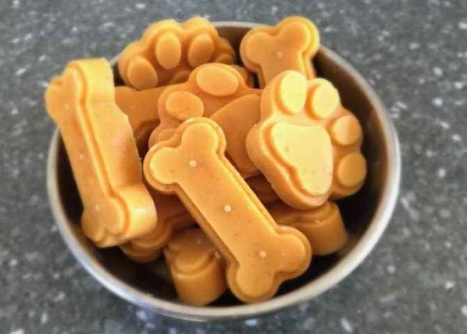 homemade dog treats with pumpkin