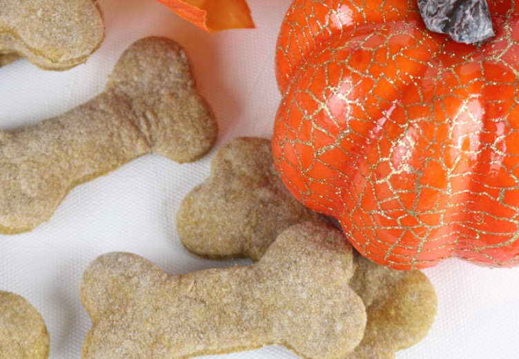 Dog Treats Homemade Pumpkin