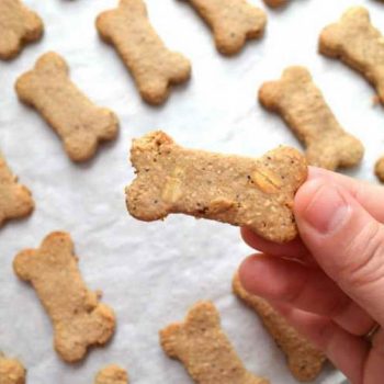 Peanut Butter Oatmeal Dog Treats