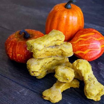 Pumpkin Dog Treats Recipe